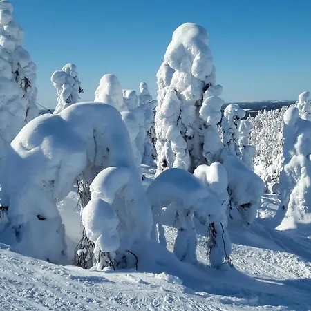 Lomakivakka B6 By Interhome Ruka